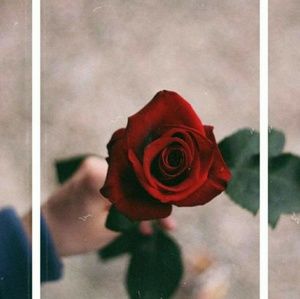 Meet your Posher, Jayden